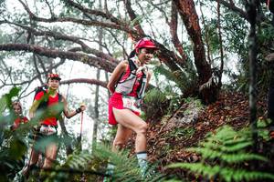 BIB: 
                            <button type="button" onclick="openModal(26296998)" class="btn btn-primary btn-sm float-right btn-popup" data-toggle="modal" data-target=".modal-high-quality">
                        <i class="fas fa-shopping-cart"></i> Add to Cart
                    </button>
                                            <button type="button" onclick="isThisMe(26296998, true)" class="btn btn-success btn-sm float-right btn-popup btn-isme hidden" data-toggle="tooltip" data-placement="bottom" title="นี่คือรูปของคุณใช่ไหม คลิกที่นี่เพื่อเอาเข้าอัลบั้ม">
                        <i class="fas fa-plus"></i> Add to album
                    </button>
                    <button type="button" onclick="isThisMe(26296998, false)" class="btn btn-warning btn-sm float-right btn-popup btn-isnotme hidden">
                        <i class="fas fa-ban"></i> Remove from album
                    </button>